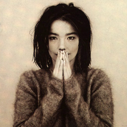 debut.jpg (31669 bytes)